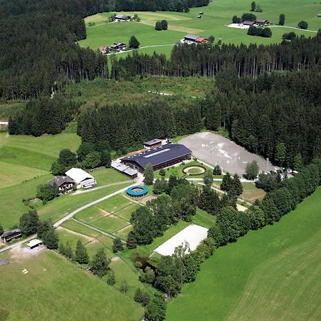 Ferienwohnung Reitgestuet Waldeck Saalfelden Exterior photo