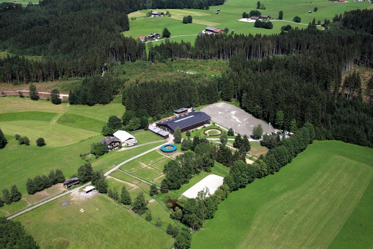 Ferienwohnung Reitgestuet Waldeck Saalfelden Exterior photo